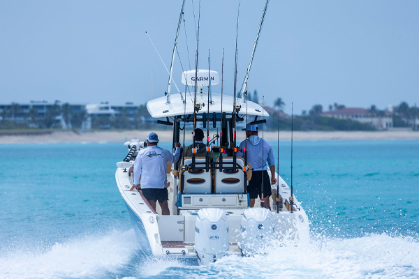 Discover Cobia