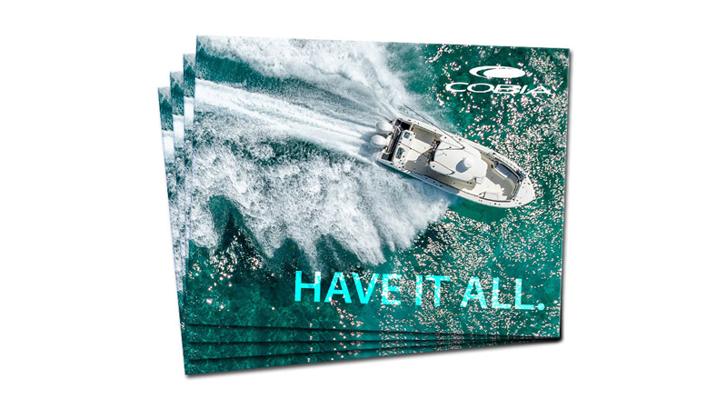 Have It All brcohures