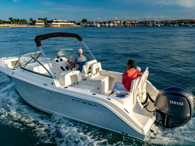 220 dc on water