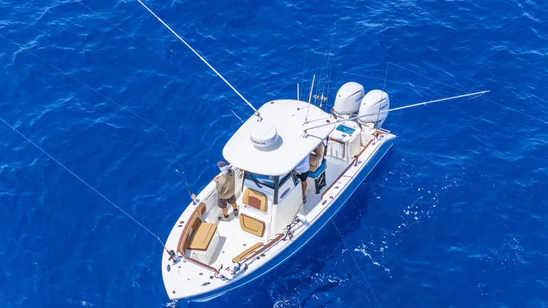 Cobia 265 CC Open Lifestyle
