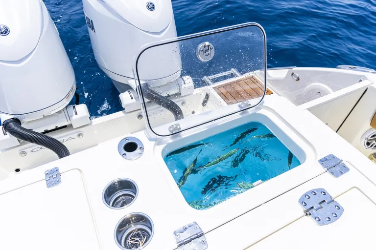 Cobia 265 CC Open Detail