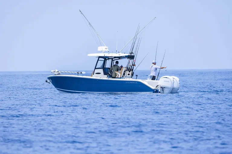 Cobia 265 CC Open Lifestyle