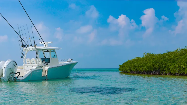 Cobia 350 CC Key West