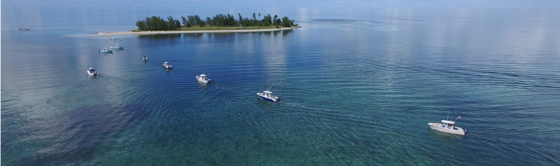 A group of Cobia boats headed towards an island.